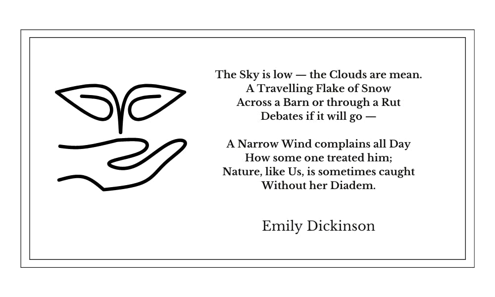 Emily Dickinson - The Sky is Low